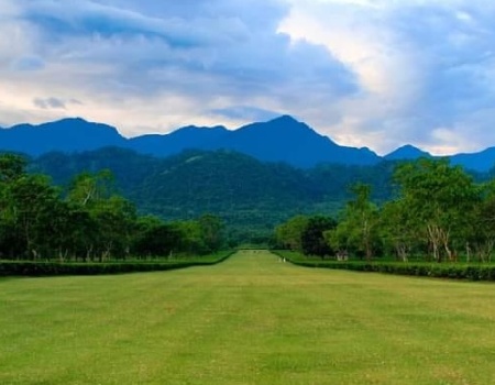 Corramore Tea Estate Airstrip.